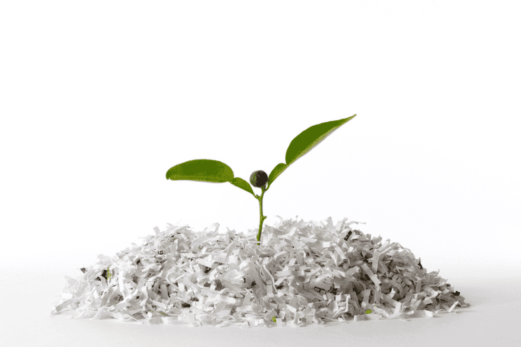 How Paper Shredding Reduces your Business’s Carbon Footprint
