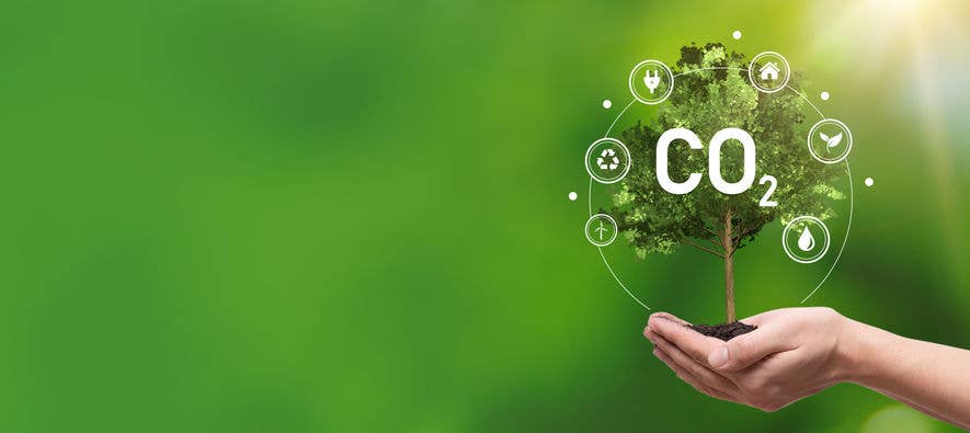 How Paper Shredding Reduces your Business’s Carbon Footprint