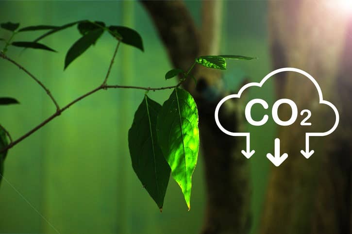 Reduce Your Carbon Footprint